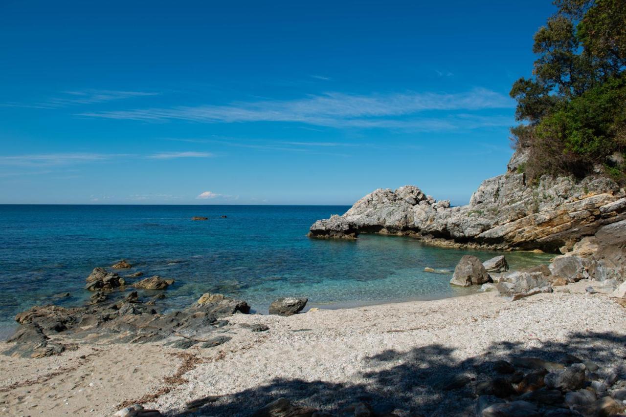 Pelion Bnb Luxury Homes Damouchari Exteriör bild
