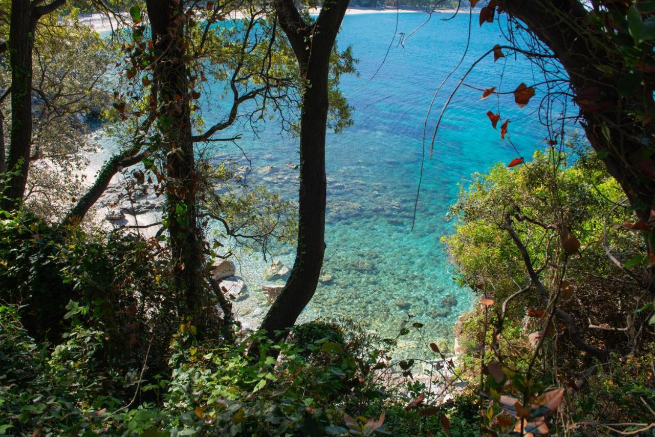 Pelion Bnb Luxury Homes Damouchari Exteriör bild